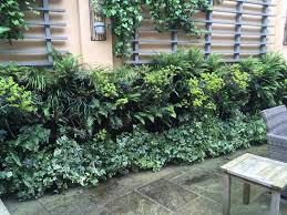 Living Walls Modular Green Wall Systems