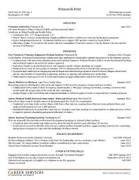 Engineer Resume Example Technical Resume Writing and IT Resume Samples