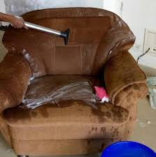 fabric sofa shampooing services in