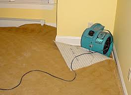 wet carpet drying aaa flood drying