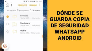 la carpeta backup de whatsapp