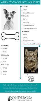 Ponderosa Veterinary Clinic gambar png