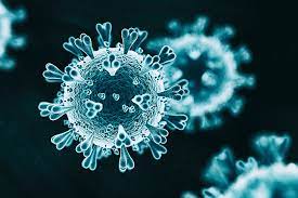 Corona virus (COVID-19) - Updates and changes to services - GOV.UK