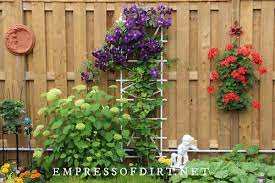 Check spelling or type a new query. Tips For Choosing The Right Clematis Trellis
