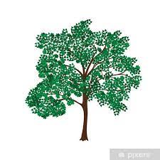 Wall Mural Icon Tree With Lush Green