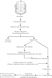 8 Flow Diagram For Downstream Processing Of Pullulan
