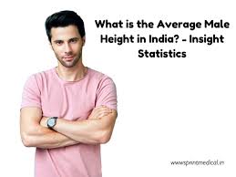 what is the average male height in
