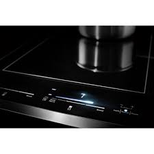 Oblivion Glass Induction Cooktop