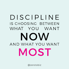 Discipline - zero to biz