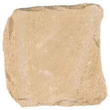 Natural Sandstone Step Stone