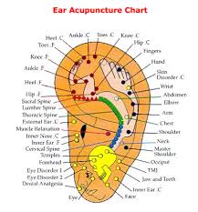 Ear Reflexology Points Reflexology Acupressure