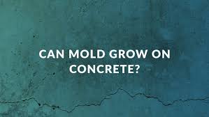 can mold grow on concrete clear