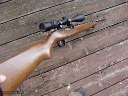 ruger 10 22 magnum quite rare and hard