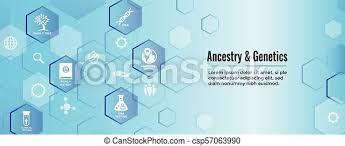 Apply professionally designed themes to give your family tree a custom look. Ancestry Or Genealogy Icon Set Web Banner W Family Tree Album Family Record Etc Ancestry Genealogy Icon Set Web Banner Canstock