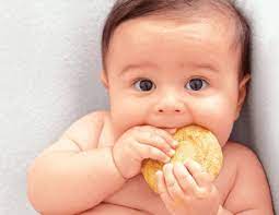 Sự thật về bánh ăn dặm cho bé 5 tháng mẹ đã biết chưa? Kiến Thức Mẹ Và Bé