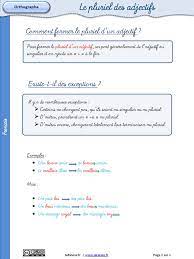 Lecon Pluriel Adjectifs PDF | PDF