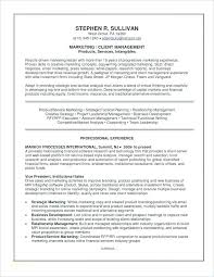 Financial Analyst Resume Template