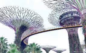 guide to visiting gardens by the bay