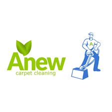 anew carpet cleaning 10 reviews 201