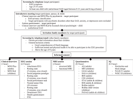Flow Chart Of The Inclusion And Assessment Procedure Of The