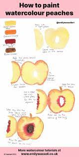 How To Paint Watercolour Peaches Easily