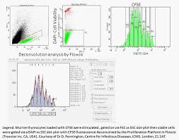 Cell Proliferation And Functional Analysis Flow Cytometry Core