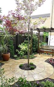 Use small and dwarf trees to add a point of interest, shade a patio, or enhance an entryway. 12 Tiny Trees For Small Yards Signals Az