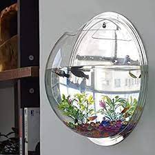 Fish Tank Aquarium Fish Tank