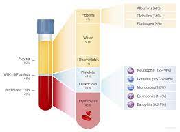 introduction to blood components