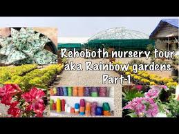 A Nursery Visit To Rehoboth Nursery S