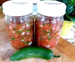 busy moms fabulous fermented salsa