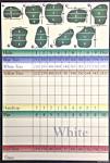 Par 5 Resort - White/Blue - Course Profile | Wisconsin State Golf