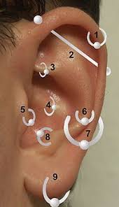 Earring Placement Chart 1 Helix Cartilage 2 Industrial 3