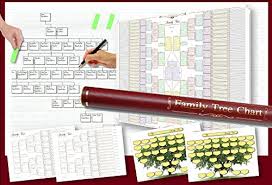 Pack Of 6 Family Tree Charts In A Deluxe Tube Buy Online