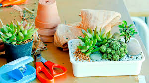 Mini Garden Projects For Kids To Enjoy