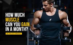 how much muscle can you gain in a month