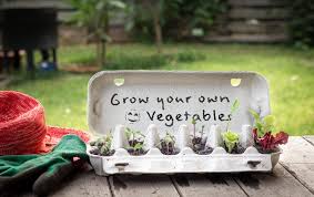 Make Your Own Patio Victory Garden