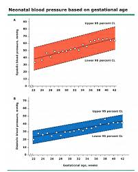 Nw Newborn Clinical Guideline Neonatal Hypertension