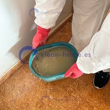 mould cleaning treatment service in