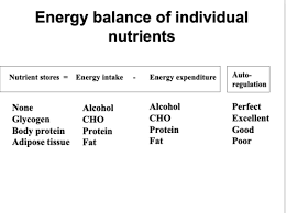 Med 3 Energy Balance Requirements