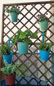 vertical gardening grow more