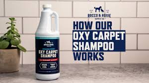 rocco roxie oxy carpet shoo you