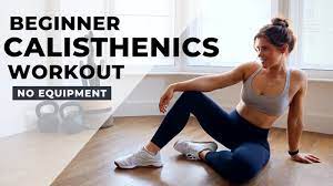 beginner at home calisthenics workout