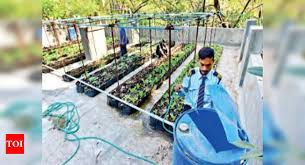 Own A Terrace Try Rooftop Farming
