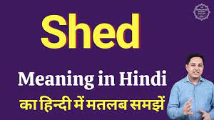 shed meaning in hindi shed क