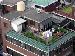 Rooftop Living In Korea
