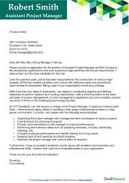 istant project manager cover letter