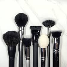 makeup brushes for the face tease