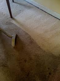 maryland carpet cleaning