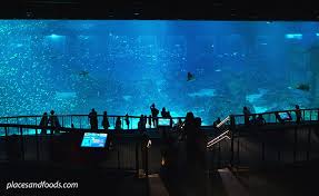 Image result for ipoh aquarium restaurant